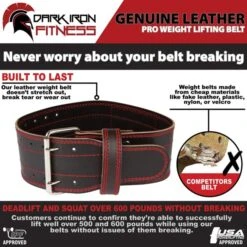 Dark Iron Fitness Power Belt -The Fitness Equipment Store 0efe32849d230d7f53049ddc4a4b0c60 5d0a74e9e264f 600x600 1