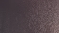 Rogue Adjustable Bench 2.0 -The Fitness Equipment Store 37a749d808e46495a8da1e5352d03cae 5e0e63bb082d9 600x337 1