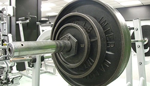 Iron Bull LB Fractional Plates 4 Iron Bull LB Fractional Plates - Image 2