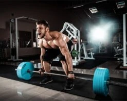 Anvil Fitness Lifting Straps -The Fitness Equipment Store 6be93f7a96fed60c477d30ae1de032fd 5d0a75790cd07 600x482 1