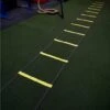 Get RXd Agility Ladder -The Fitness Equipment Store 7a68443f5c80d181c42967cd71612af1 5d0a7575c1efa 600x525 1