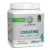Sunwarrior Creatine Monohydrate -The Fitness Equipment Store Sunwarrior Creatine
