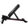 Powerblock Power Bench -The Fitness Equipment Store a486cd07e4ac3d270571622f4f316ec5 5d0a75554888d 600x600 1