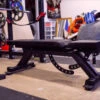Rogue AB-3 Adjustable Bench -The Fitness Equipment Store b3e3e393c77e35a4a3f3cbd1e429b5dc 5e2b49f1d65a3 600x338 1