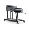 EliteFTS Pro Glute Ham Raise -The Fitness Equipment Store c2ba1bc54b239208cb37b901c0d3b363 5d0a75765cd55 600x600 1