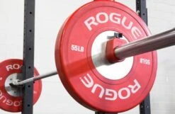 Proloc 1 Collars 9 Proloc 1 Collars -The Fitness Equipment Store ce78d1da254c0843eb23951ae077ff5f 5d0a74e61dae1 600x392 1