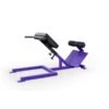 EliteFTS Scholastic 45 Degree Back Raise -The Fitness Equipment Store d6288499d0083cc34e60a077b7c4b3e1 5d0a7576cb935 600x600 1