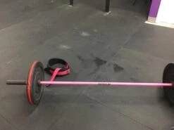 Rogue Bella Bar 2.0 – Cerakote -The Fitness Equipment Store dc912a253d1e9ba40e2c597ed2376640 5d2d26910f71b 600x450 1