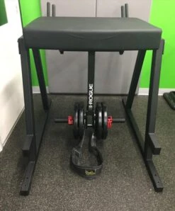 Rogue RH-2 Reverse Hyper -The Fitness Equipment Store e165421110ba03099a1c0393373c5b43 5d111b5a91a2c 600x723 1