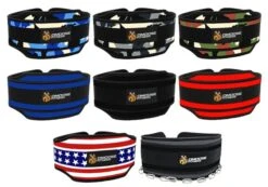 DMoose Premium Dip Belt -The Fitness Equipment Store e3251075554389fe91d17a794861d47b 5d0a751b4cd9c 600x420 1