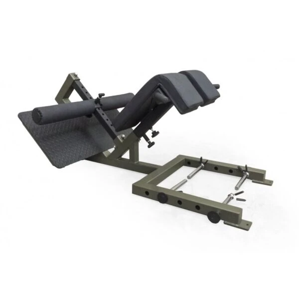 EliteFTS Professional 45 Degree Back Raise 3 EliteFTS Professional 45 Degree Back Raise