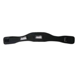 Schiek 2004 Lifting Belt -The Fitness Equipment Store fe8c15fed5f808006ce95eddb7366e35 5d0a74e70a42e 600x600 1